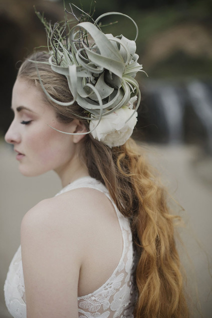 Air plant hairpiece Inspiration