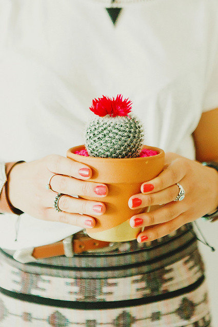 Cactus party favors Inspiration