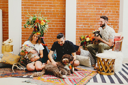 Southwest puppy first birthday party