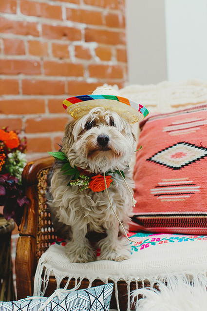 Southwest puppy first birthday party