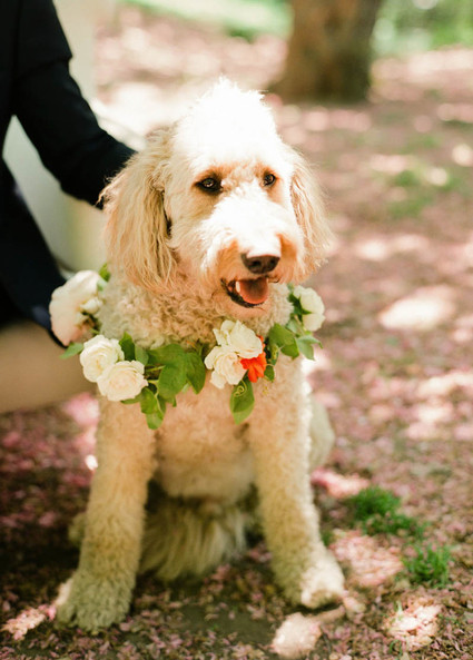 Wedding florals