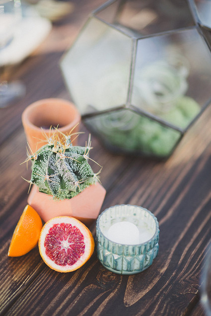 Cactus decor