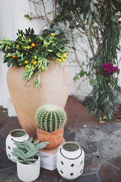 Cactus decor