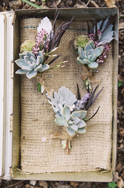 Succulent boutonnières Inspiration
