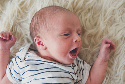 los angeles newborn photos by max and friends