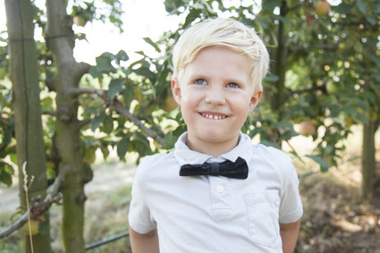 boy bow tie