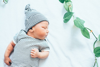 boy newborn photos with vine