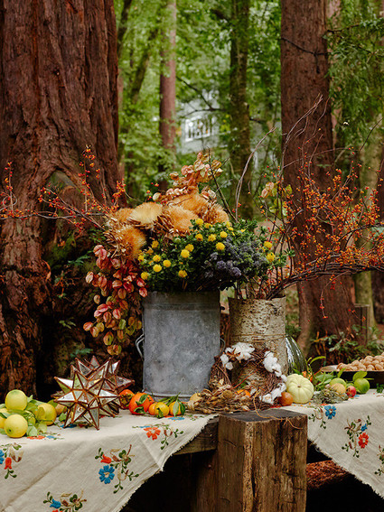 Rustic fall party in the redwoods