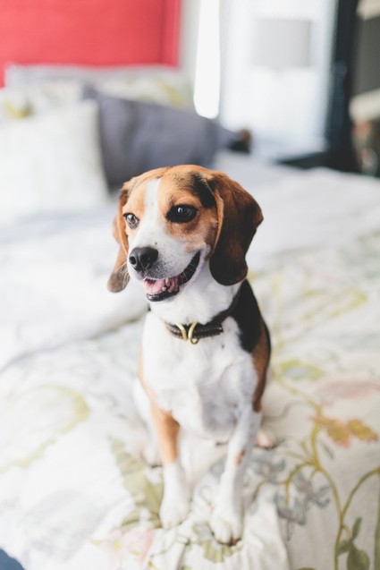 lifestyle newborn photos