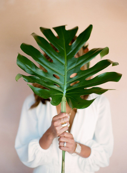 Fig leaf decor