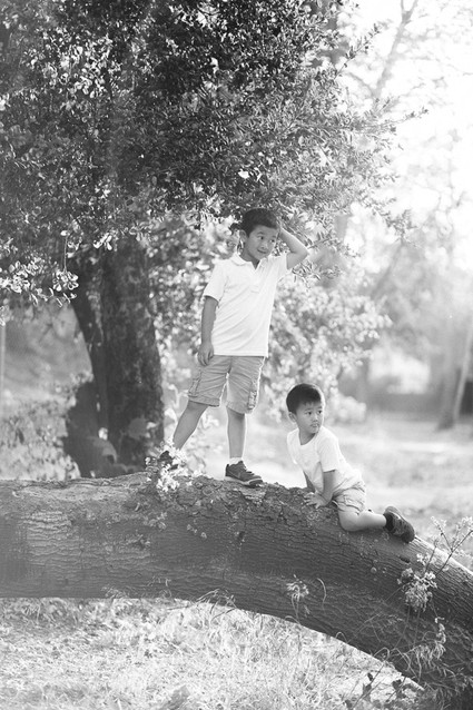 brothers