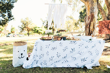 Modern Wild Thing 1st Birthday party