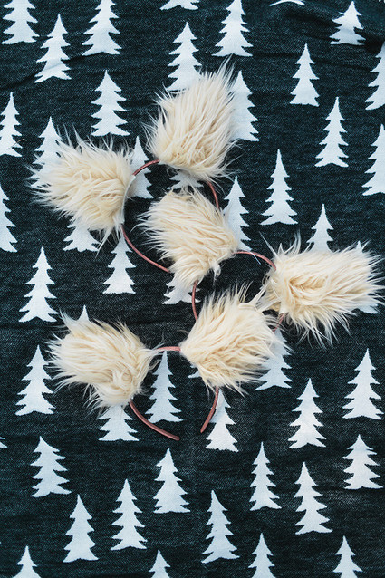 Modern Wild Thing 1st Birthday party