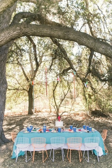Summer Camp first birthday Inspiration