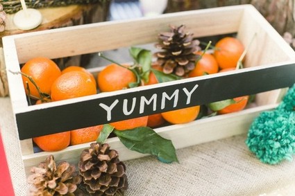 Summer Camp first birthday Inspiration
