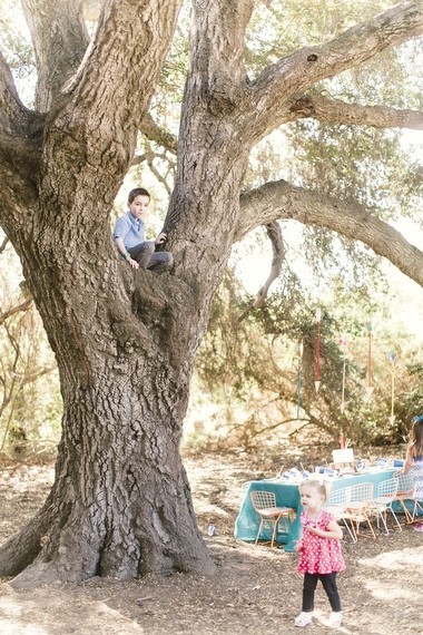 Summer Camp first birthday Inspiration