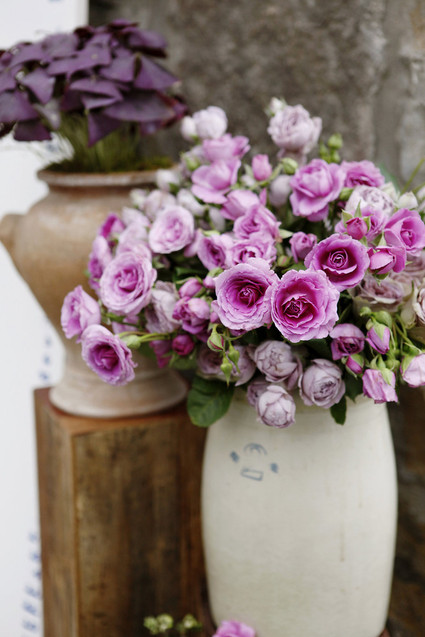 Purple flowers