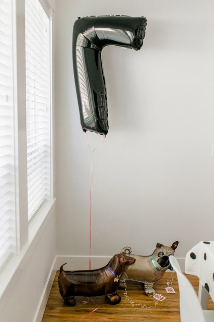 adopt a puppy birthday party Inspiration