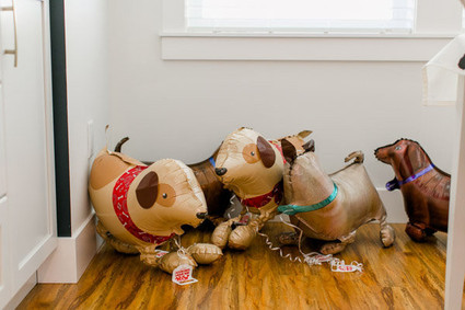 adopt a puppy birthday party Inspiration