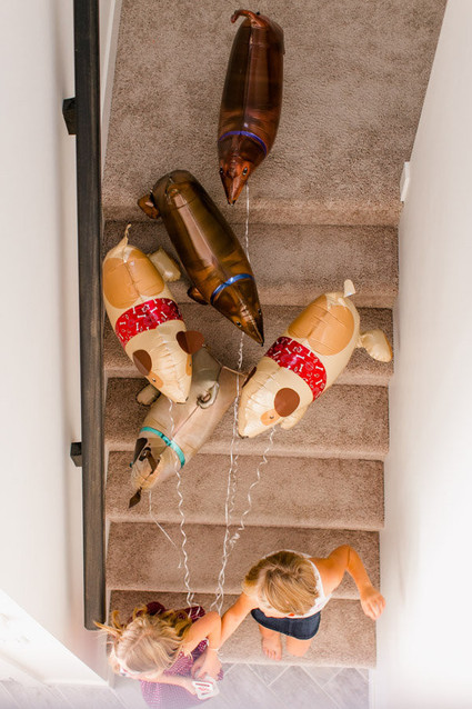 adopt a puppy birthday party