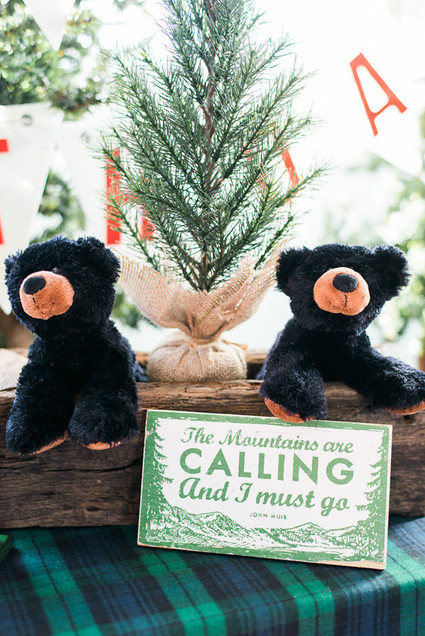 Lumberjack birthday party Inspiration