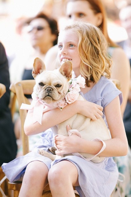 Wedding animals