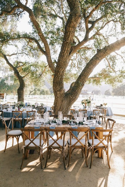 Vineyard wedding