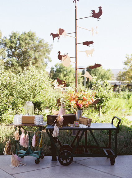 Napa Valley wedding