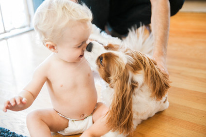 Lifestyle family photos at home