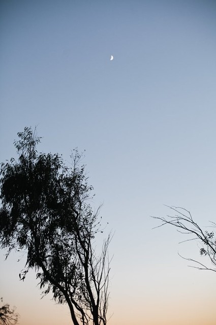 Indigo moon second birthday party