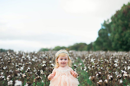 Cotton field family photos