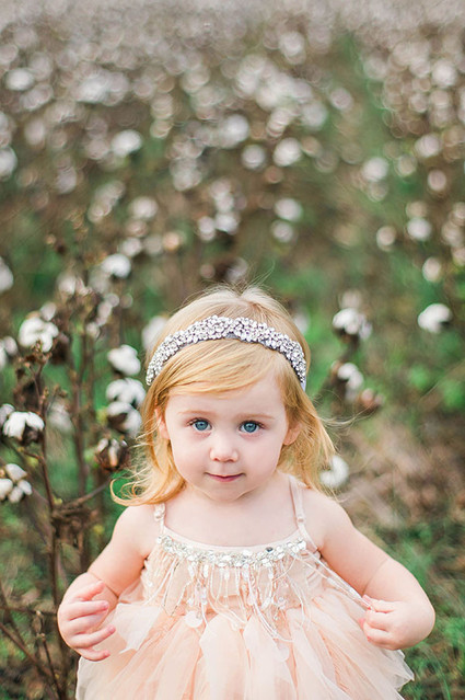 Cotton field family photos