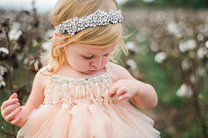 Cotton field family photos