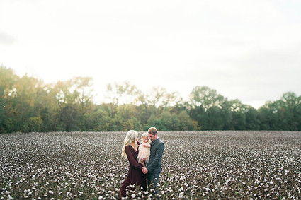 Cotton field family photos