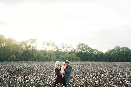 Cotton field family photos