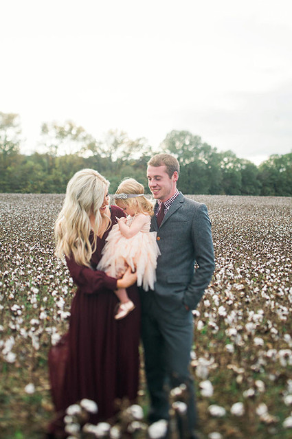 Cotton field family photos