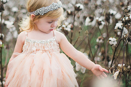 Cotton field family photos