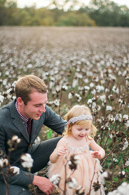 Cotton field family photos