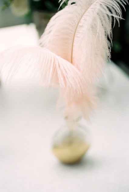 feather decor