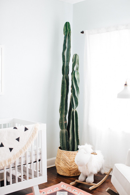 desert inspired boys nursery