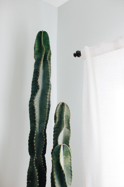 desert inspired boys nursery