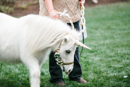 a real unicorn party visitor