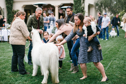 a real unicorn party visitor