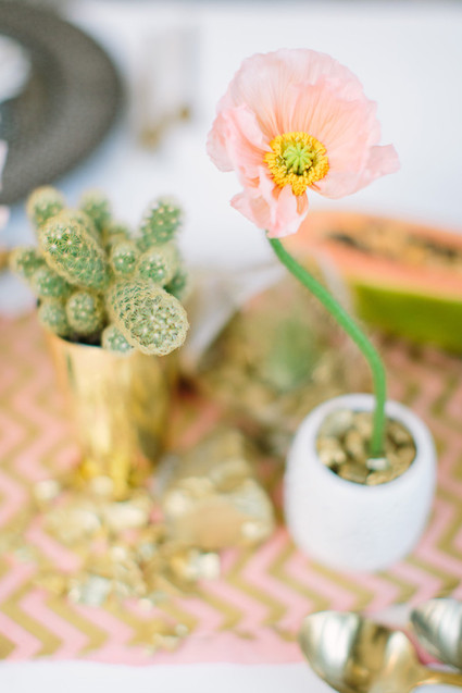 California boho chic baby shower