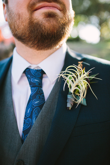 Air plant boutonniere