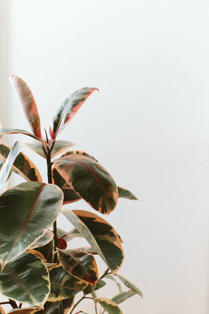 natural bohemian nursery