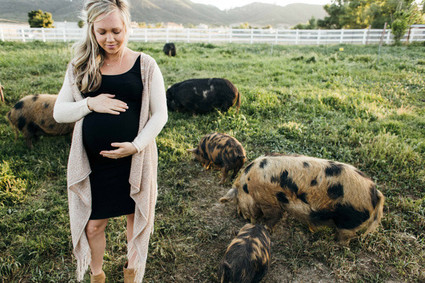 Farm maternity photos
