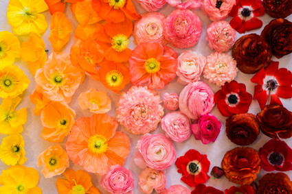 ombre rainbow flowers