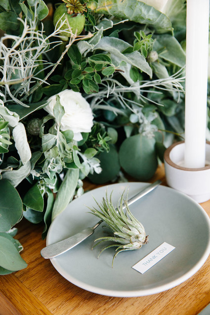 Air plant place cards Inspiration