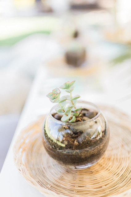 Tropical baby shower ideas